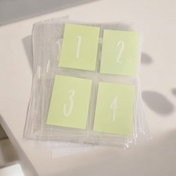 Cash Stuffing A5 binder - Rose Gold