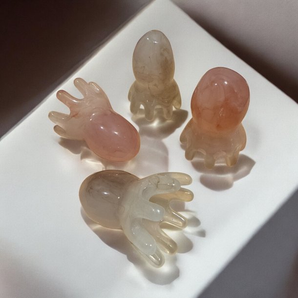 Hovedbundsmassage. Lille blksprutte  - Lyserd