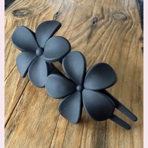 H�rsp�nde � Sorte blomster