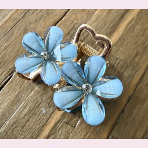 Lille h�rsp�nde � Bl� blomster