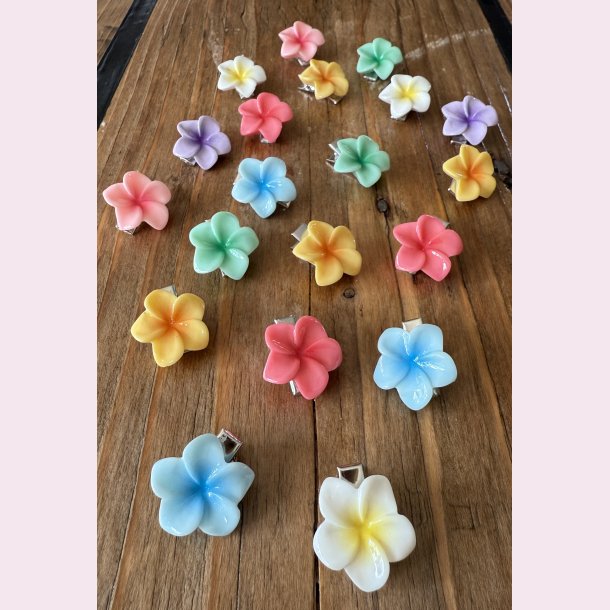 20 stk. Sde blomster hrspnder