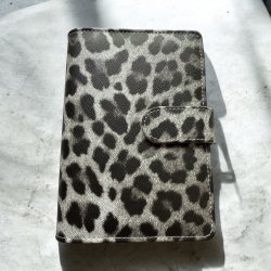 A6 cash stuffing binder - Gr leo