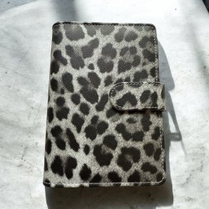 A6 cash stuffing binder - Gr leo