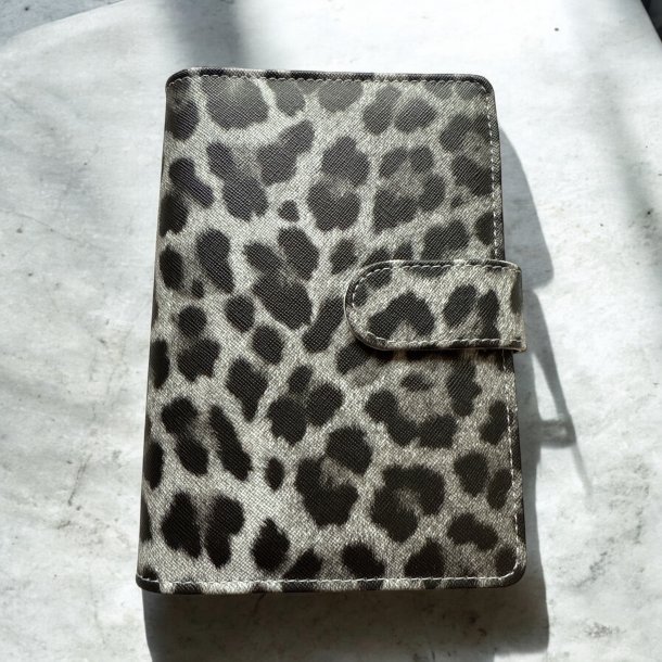 A6 cash stuffing binder - Gr leo