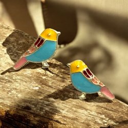 Sdeste reringe med fugle 