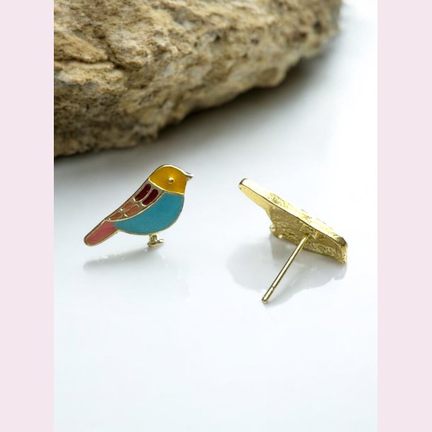 Sdeste reringe med fugle 