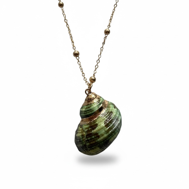 Halsk�de med eksklusiv gr�n musling