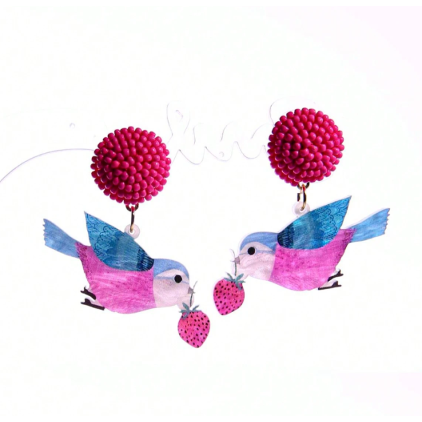 Sjove festelige reringe - Fugle